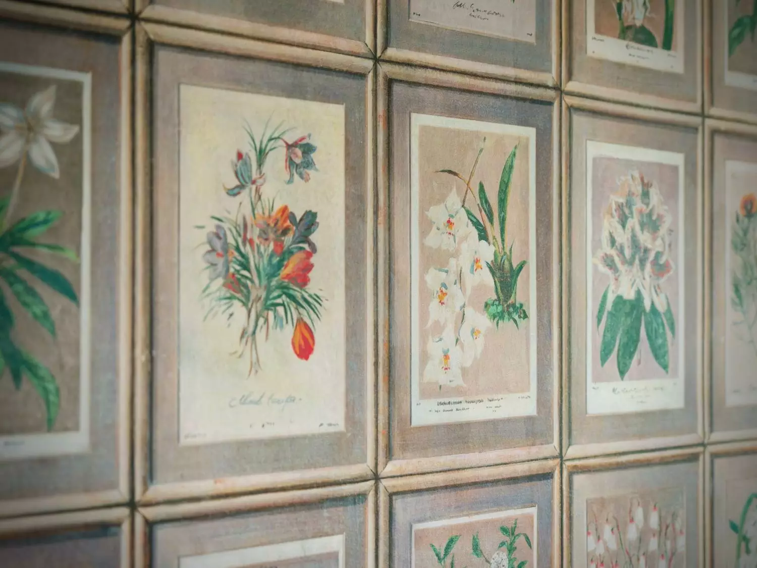Curator / Floral