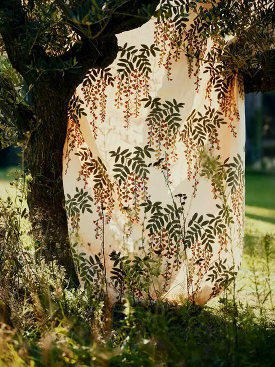 Songe D'ete / Monde Botantique