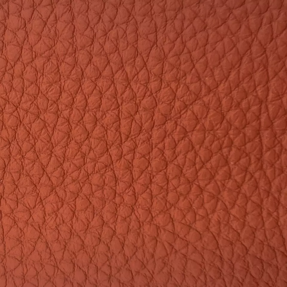 View Bison - Coral Bison - Coral