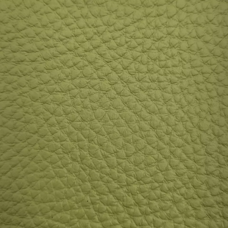 View Bison - Lime Bison - Lime