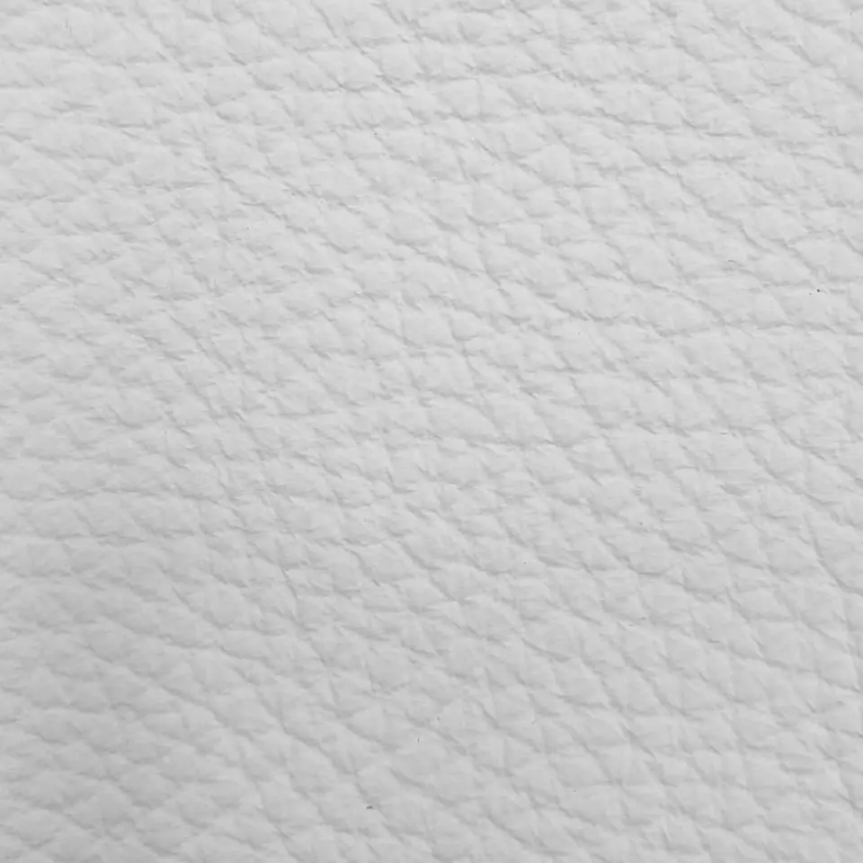 View Bison - White Bison - White
