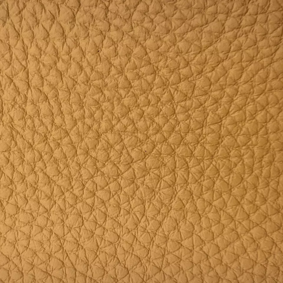 View Bison - Yellow Bison - Yellow