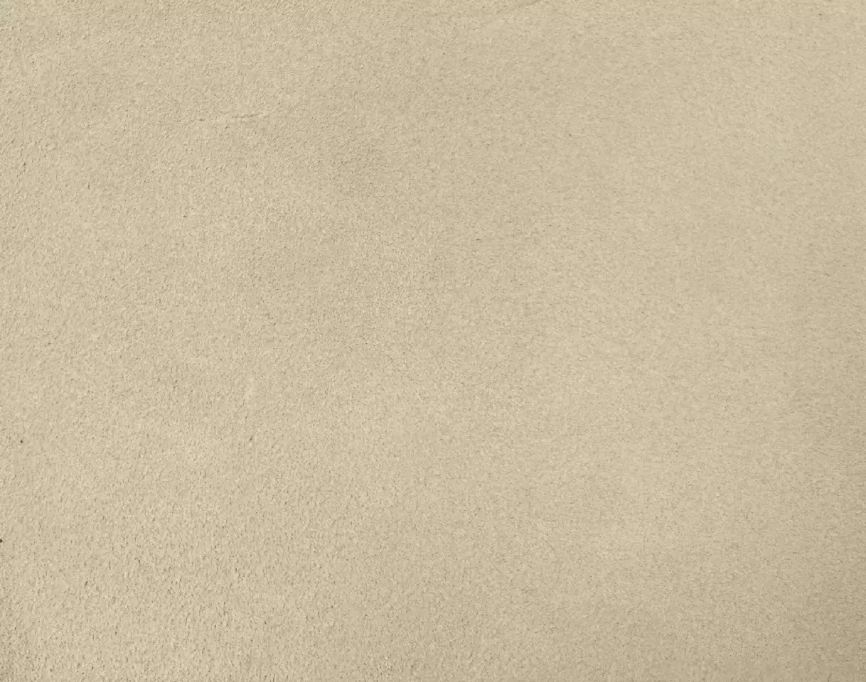 View Trousdale | Aesthetic White Trousdale | Aesthetic White