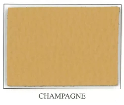 Discovery Collection - CHAMPAGNE