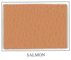 Discovery Collection - Salmon