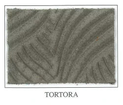 Energised Collection - Tortora