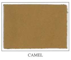 Soft Pearl Collection - CAMEL