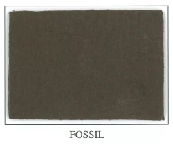 Soft Pearl Collection - Fossil