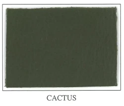 Soft Pearl Collection - CACTUS