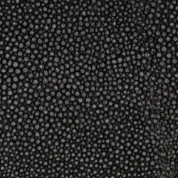 Galuchat Shagreen - Nero