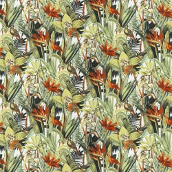 Jungle Birds - Ja8060-030