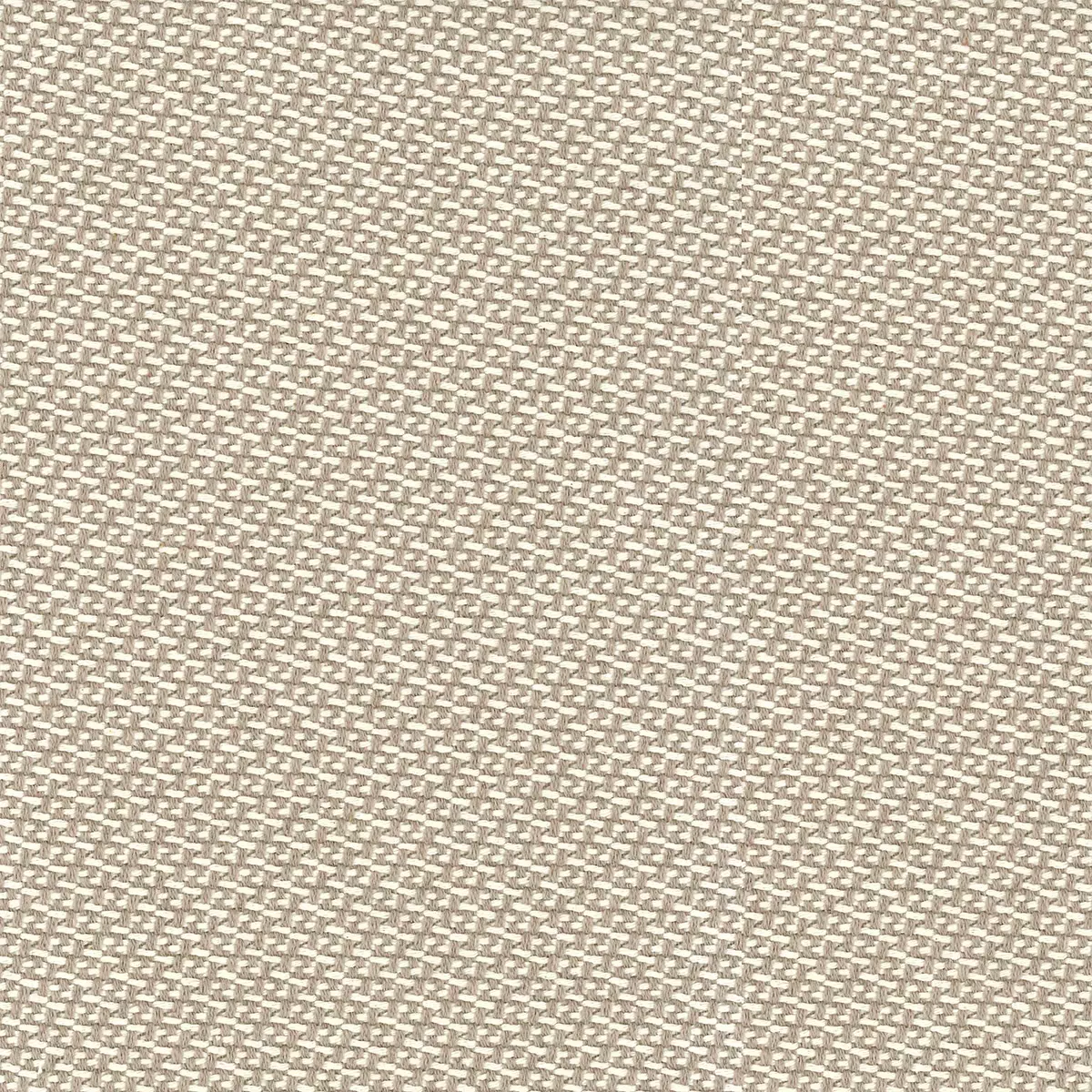 Pilato | Linen